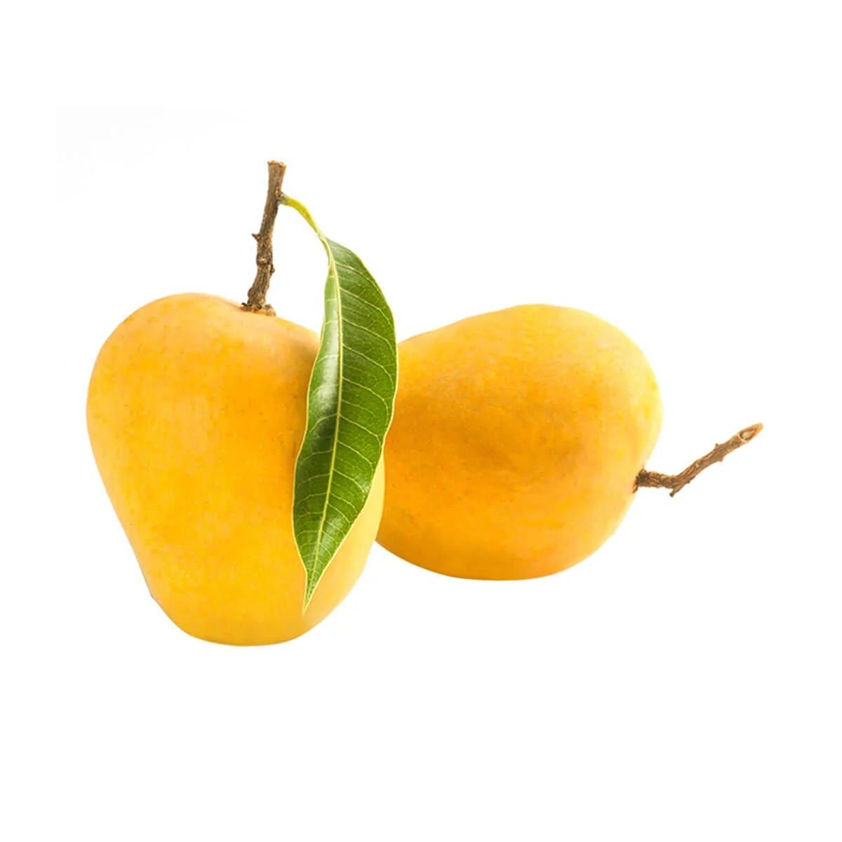 Alphonso Mango Pulp