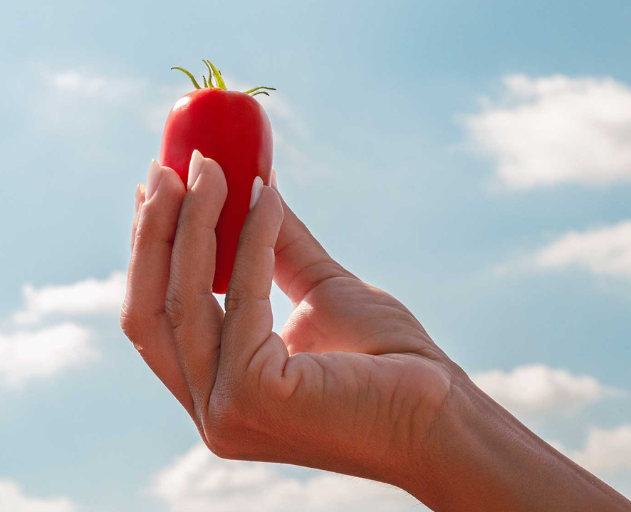 Premium Aseptic & Processed Foods